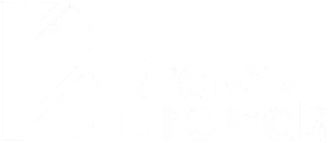 Bravo Brands Logo